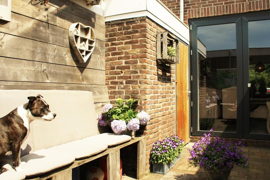 Ferienhaus Sandy Bum Beach House Egmond aan Zee